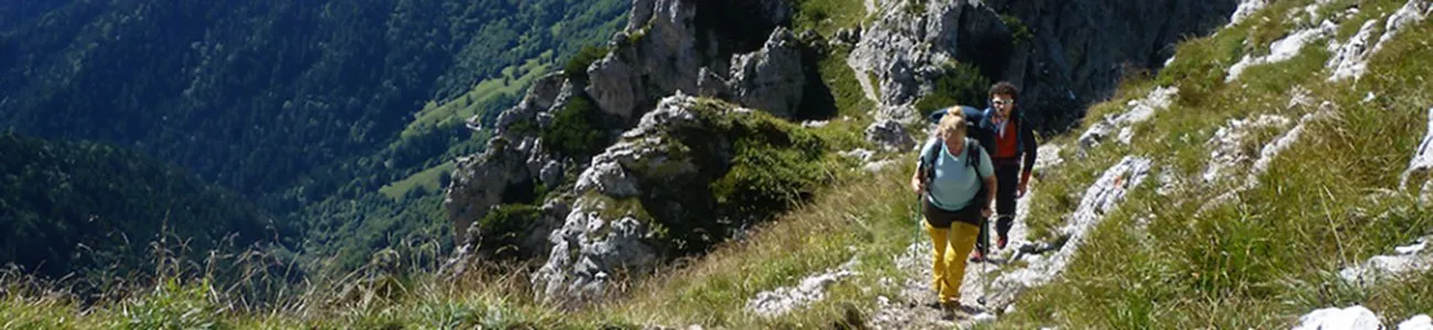 Culbianco (Oenanthe oenanthe) | Rete di Riserve Alpi Ledrensi